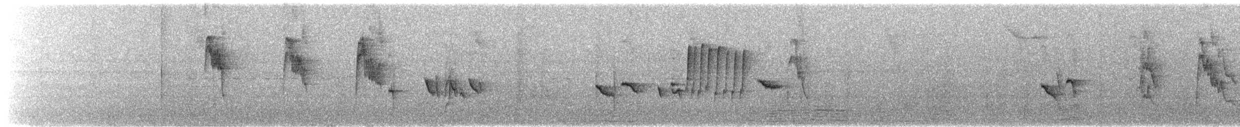 Sulawesi Myzomela - ML607457221