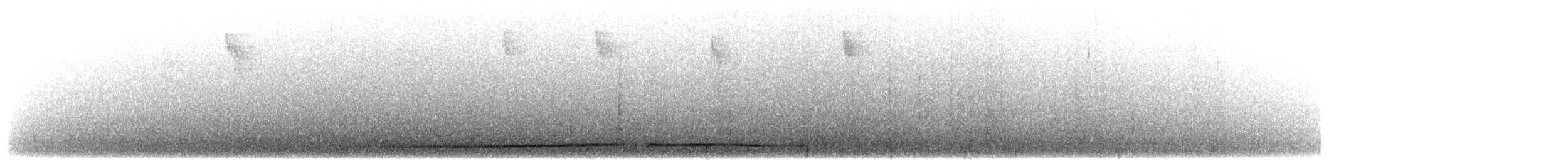 sulawesipitta (celebensis) - ML607457641