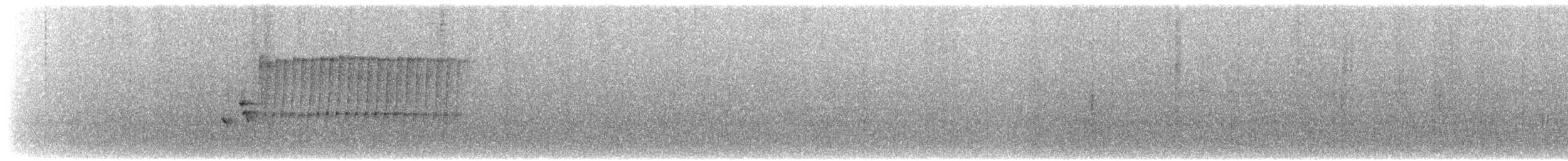 セレベスクレナイミツスイ - ML607459191