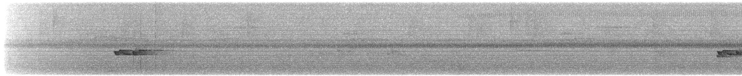 Sulawesi Myzomela - ML607459201