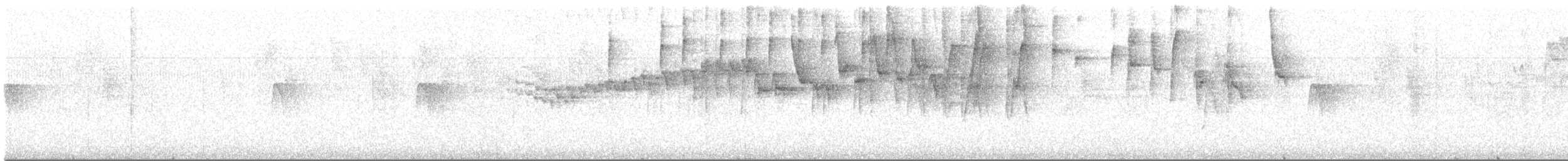 Three-striped Warbler (daedalus) - ML607485241