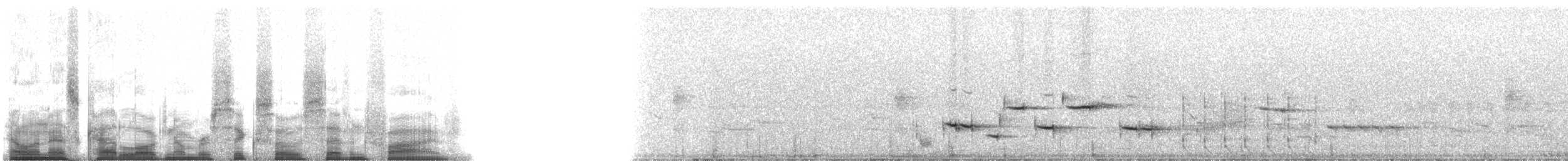 Picchion cramoisi - ML6075