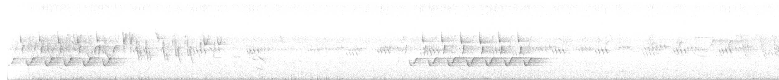 Каролинский крапивник - ML60758041