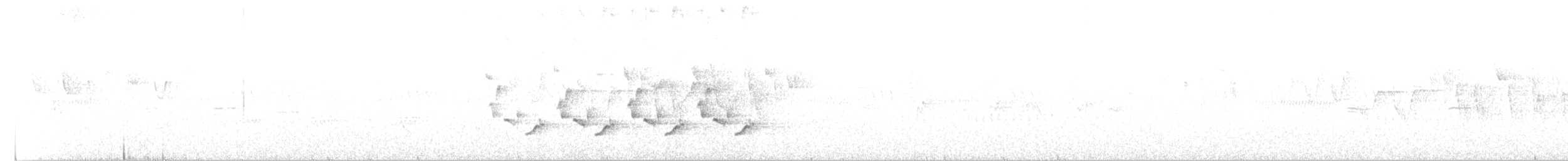 Каролинский крапивник - ML60758051