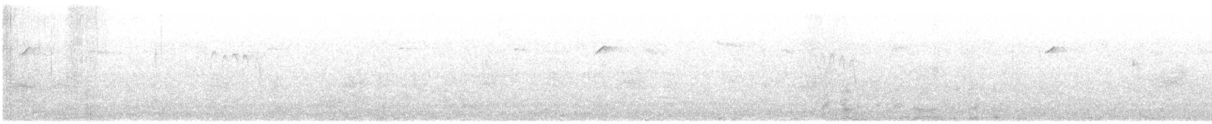 Batı Amerika Sinekkapanı (occidentalis/hellmayri) - ML607610971
