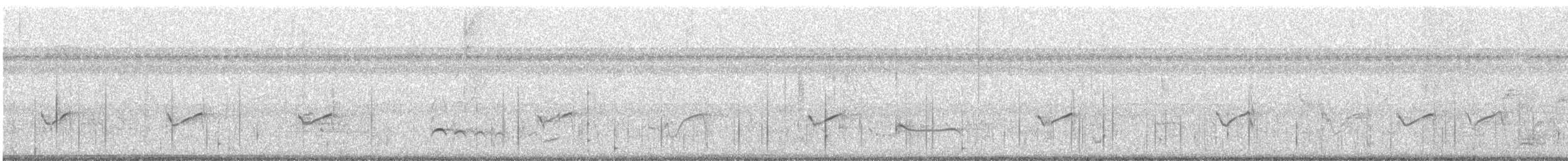 Chorlitejo Semipalmeado - ML607621951