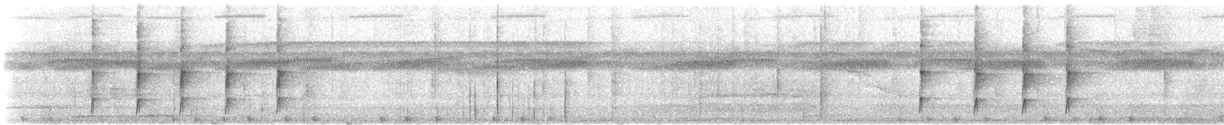 Microtyran casqué - ML607641201
