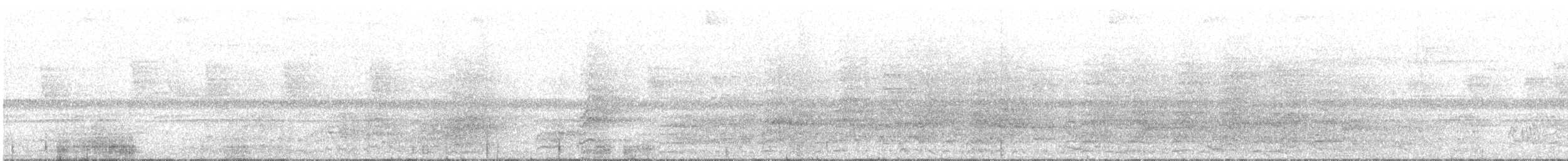 Aratinga de Wagler - ML607691381