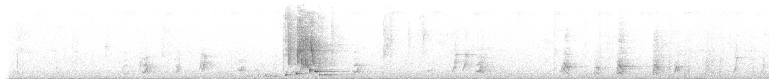 セアカオオツリスドリ（angustifrons グループ） - ML607691451