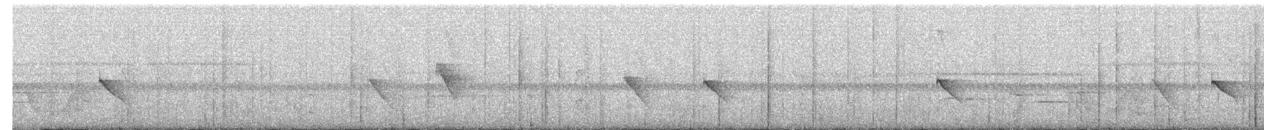 Dot-winged Antwren - ML607695941