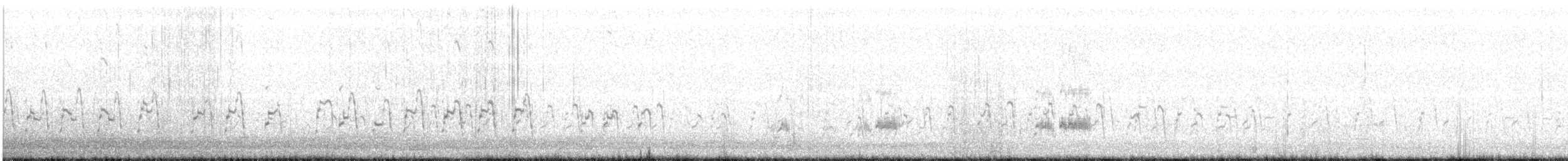 Western Grebe - ML607752261