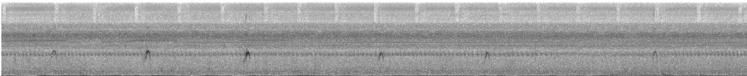 Engoulevent trifide - ML607777511