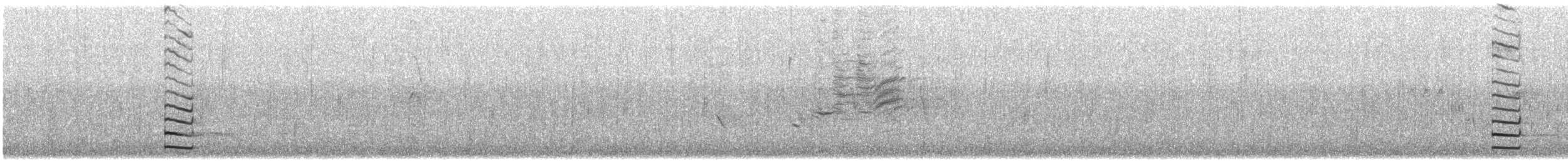 Курочка плямистобока - ML607781621