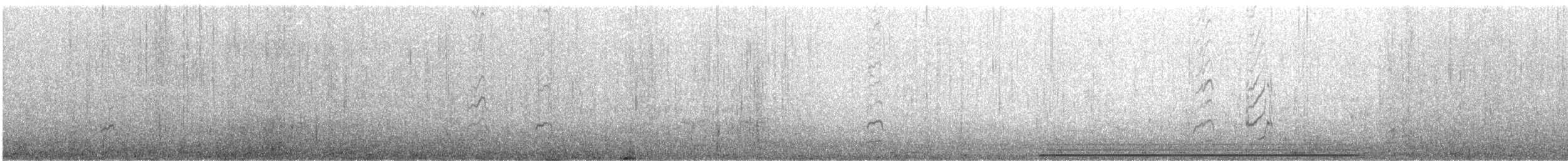 Surfbird - ML607814981