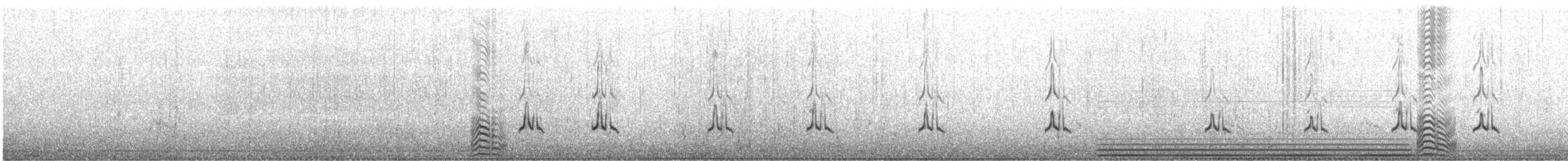 Common Murre - ML607815131