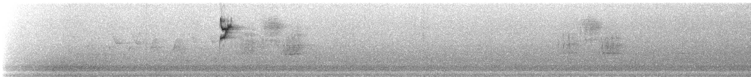 nordmyggsmett (caerulea) - ML60802001
