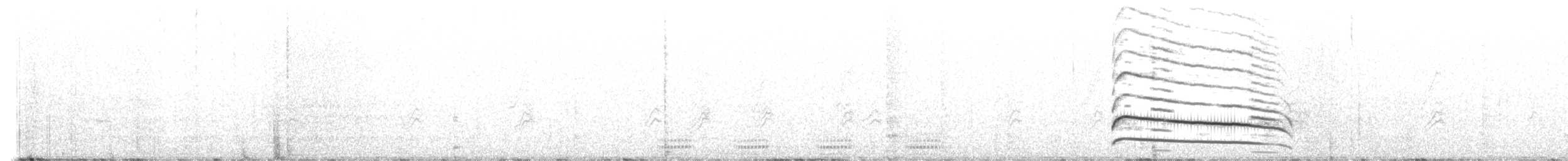 Swainson's Hawk - ML608020391