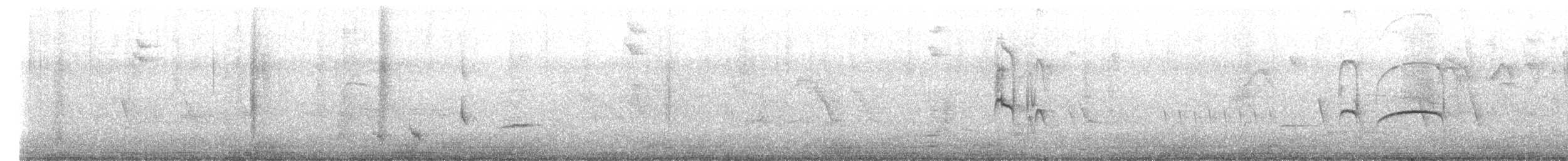 Güneyli Bıyıksız Tiranulet [obsoletum grubu] - ML608051801