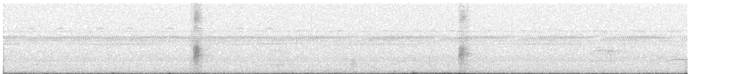 Masked Tityra - ML60809141