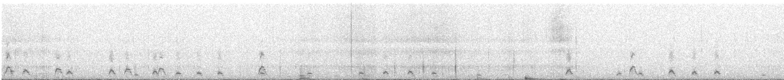Cygne à cou noir - ML608112011