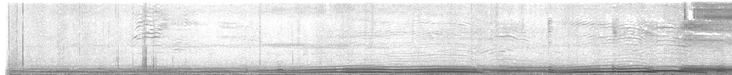 Wedge-tailed Shearwater - ML608207591