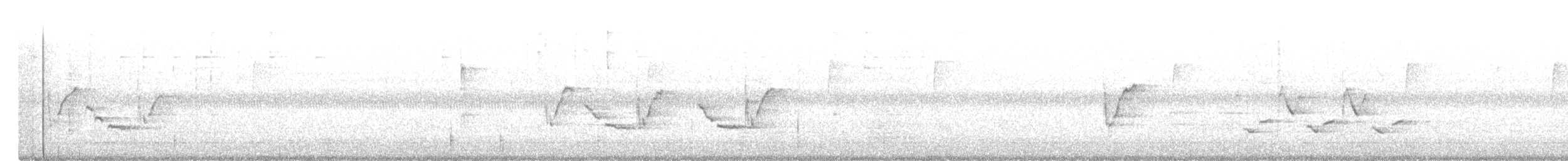 Каролинский крапивник - ML608221521