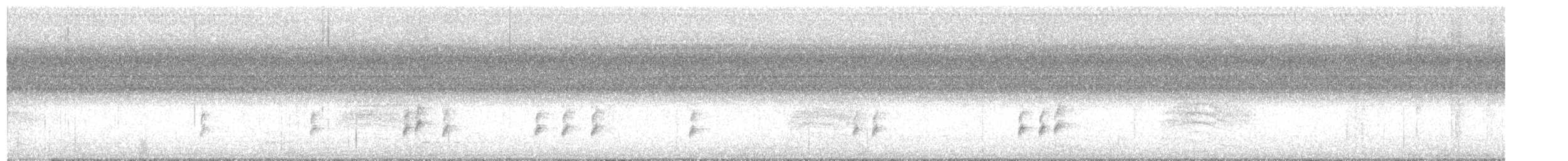 Troglodyte de Caroline - ML608247851