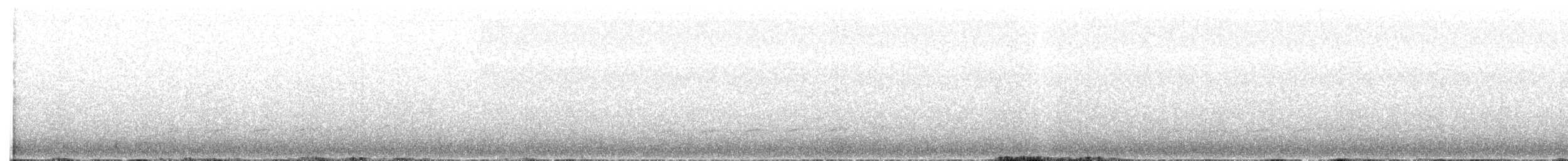 Вилохвостая дронговая кукушка - ML608252771