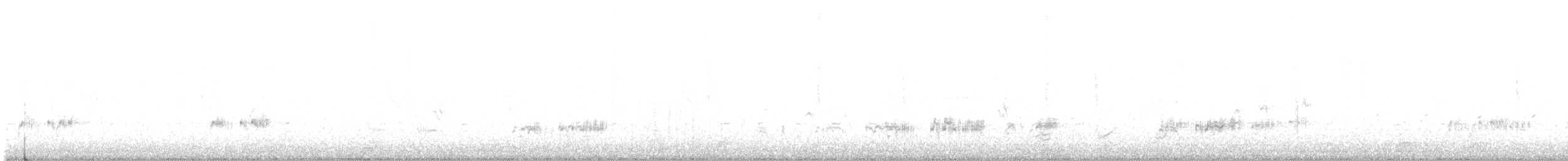 Western Grebe - ML608264625