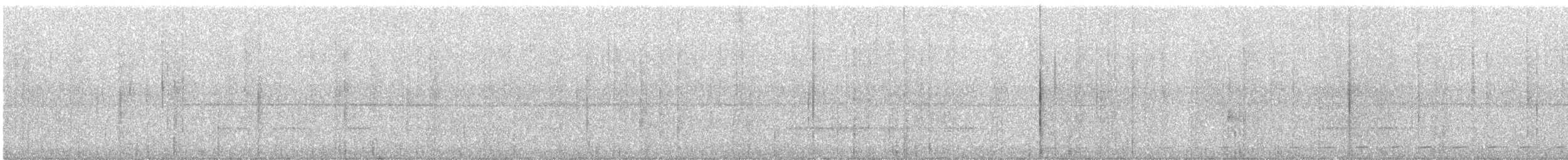 Rostkreischeule (colombianus) - ML608266100