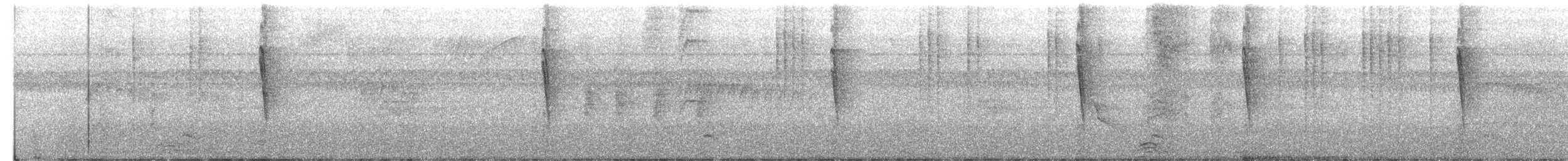 Серогрудый саблекрыл (largipennis) - ML608266270