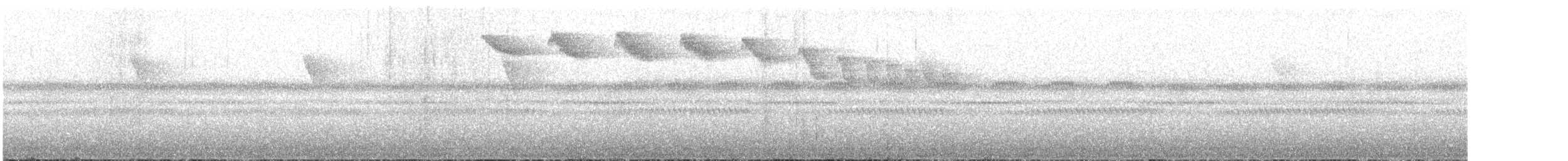 Белобровый колибри-отшельник - ML608267237
