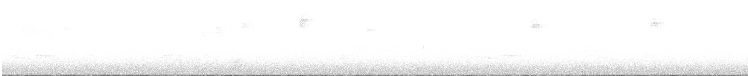 Grallaire à gorge blanche - ML608267784