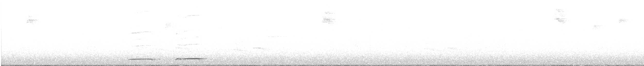 Grallaire à gorge blanche - ML608267825
