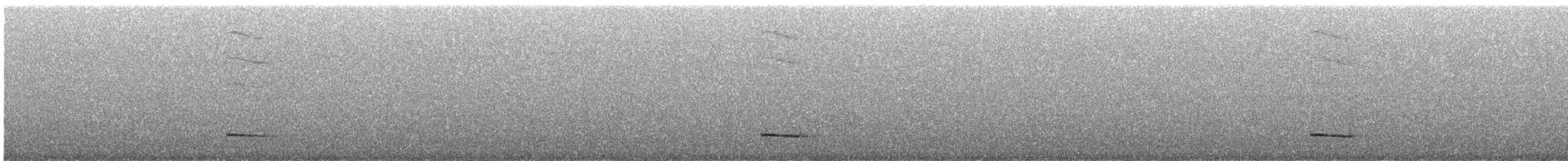 Troglodyte à poitrine grise - ML608267965