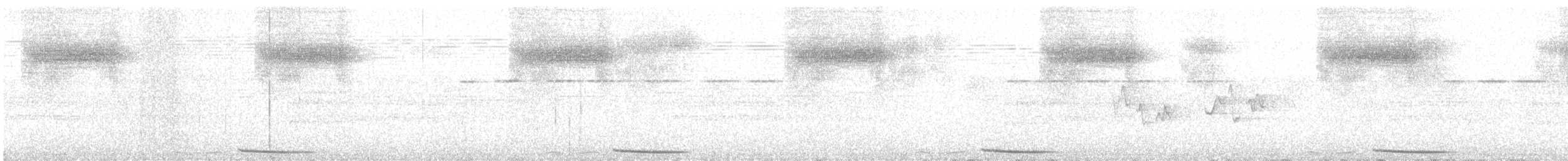 holub panamský - ML608280554