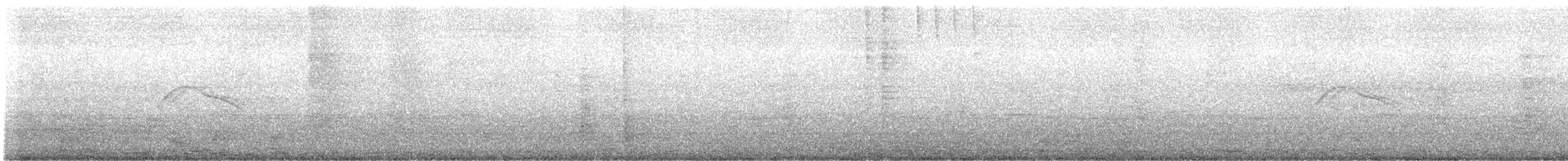 Weißschwanz-Nachtschwalbe - ML608280875