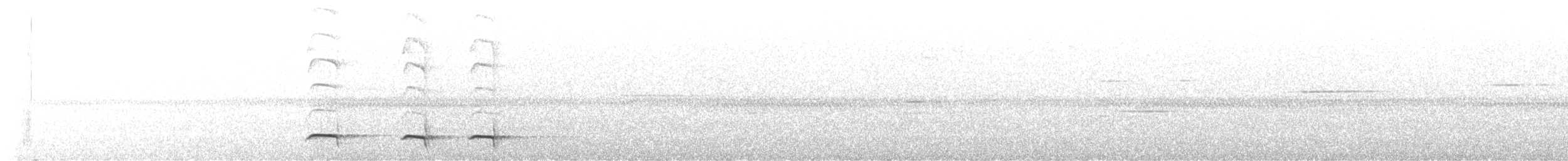 Weißflecken-Ameisenpitta - ML608281890