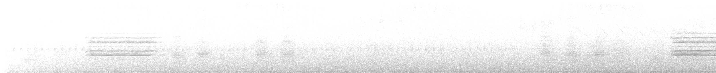 hvitkinnsolitærtrost - ML608281900