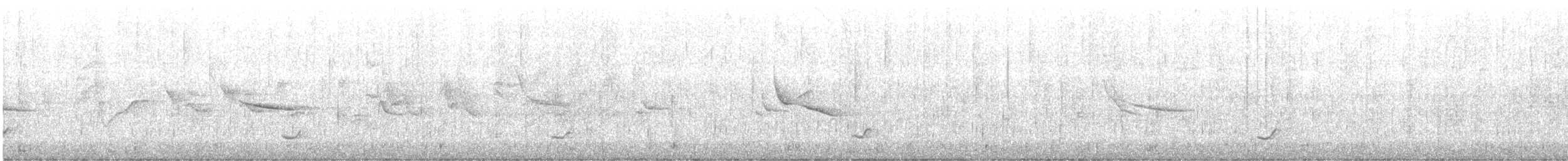 Дрізд-короткодзьоб Cвенсона [група ustulatus] - ML608285063