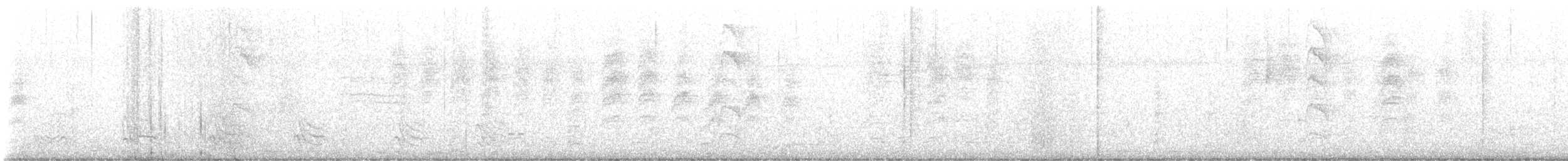 Grauband-Ameisenvogel - ML608285914