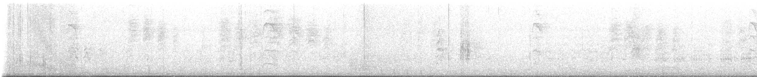 Grauband-Ameisenvogel - ML608285916