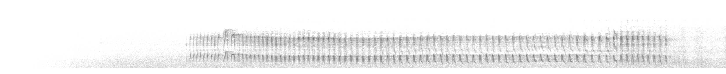 Taurillon roitelet - ML608286167