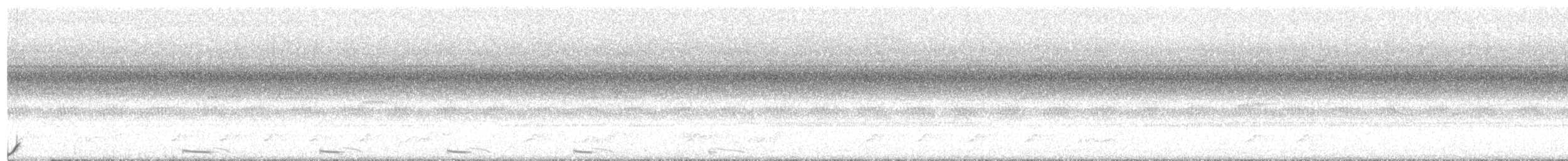 Eastern Whip-poor-will - ML608302529