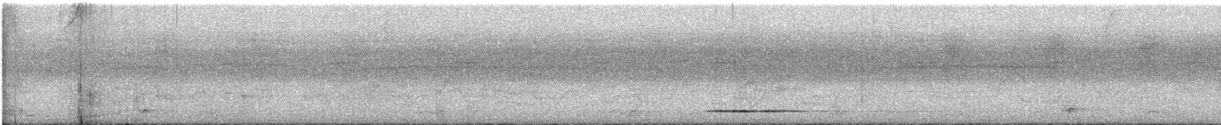 Thicket Tinamou - ML608310957
