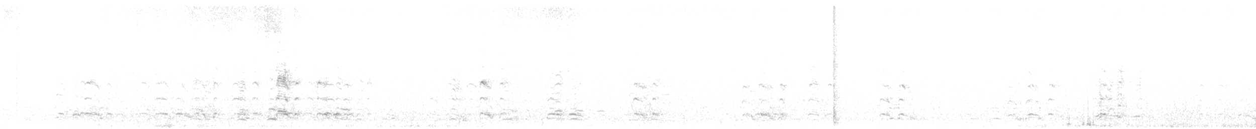 אווז לבן-מצח - ML608312176