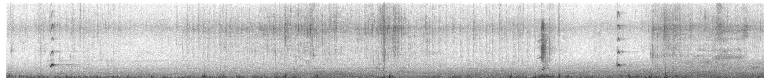 Белокрылая лысуха - ML608315012