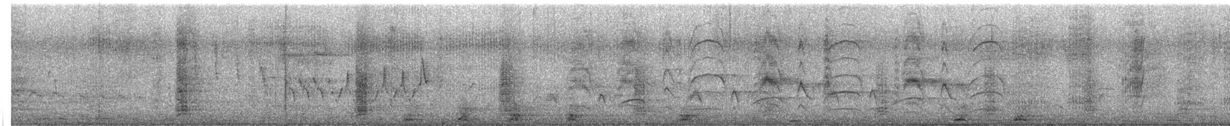 Schopfkarakara (plancus) - ML608315374