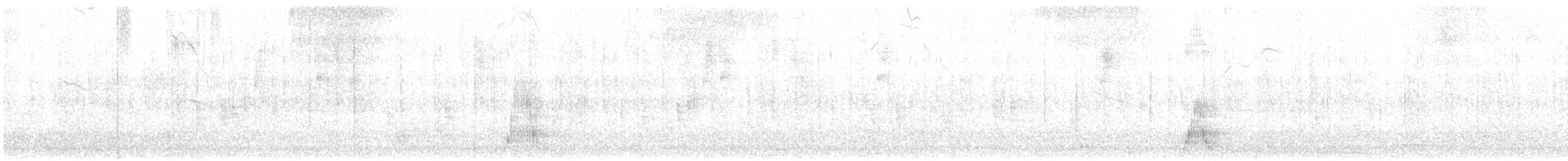 Талпакоті сіроголовий - ML608316179