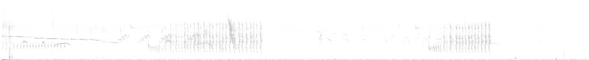 Weißwangen-Dickichtschlüpfer - ML608317007
